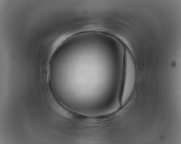 X0000092311371200709281338