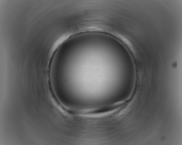 X0000092311373200709281338