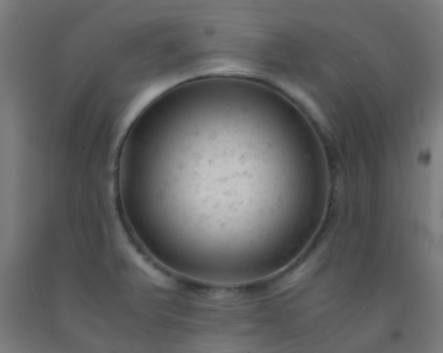 X0000092311375200709281338