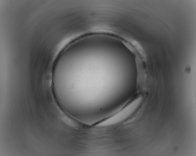 X0000092311376200709281338