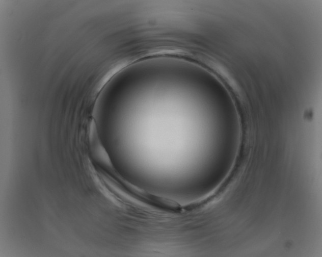 X0000092311377200709281338