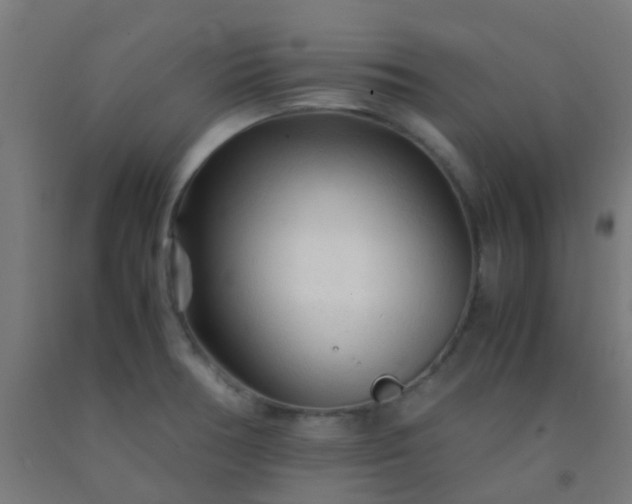 X0000092311378200709281338