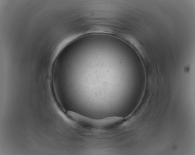 X0000092311379200709281338