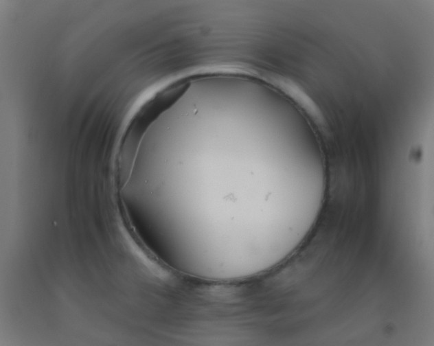 X0000092311380200709281338