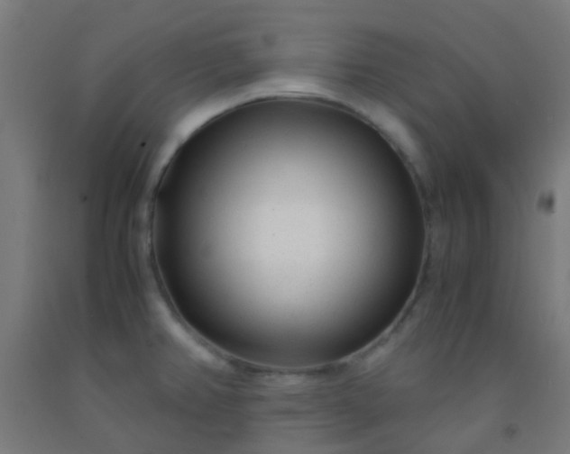 X0000092311382200709281338