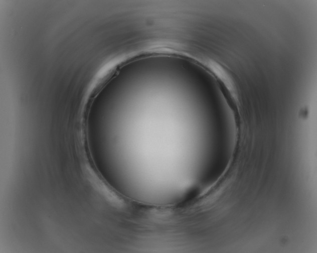 X0000092311384200709281338