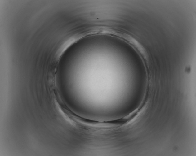 X0000092311385200709281338