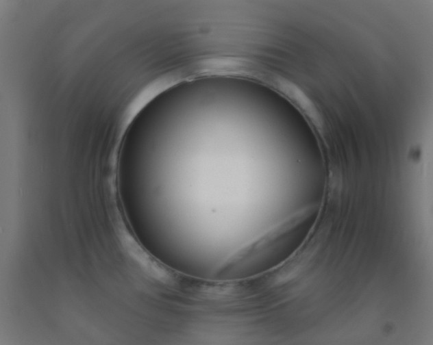 X0000092311386200709281338