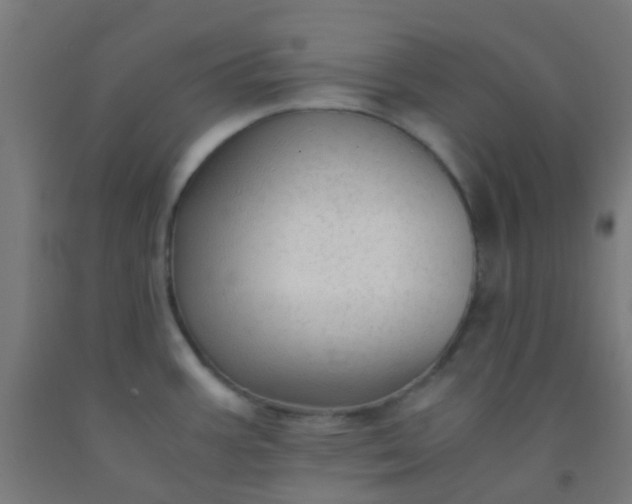 X0000092311387200709281338