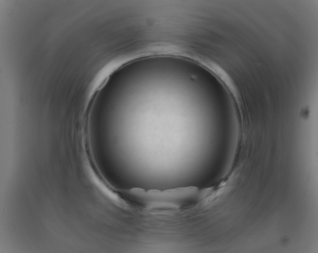 X0000092311389200709281338