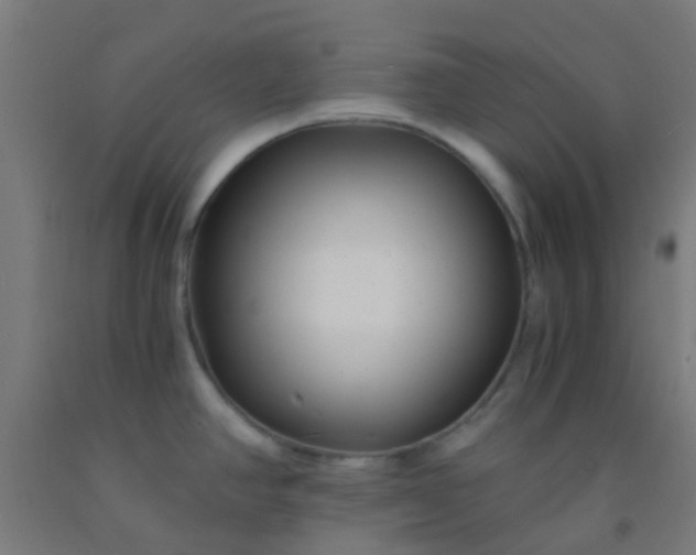 X0000092311390200709281338