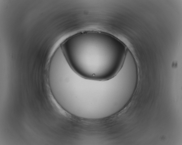 X0000092311392200709281338
