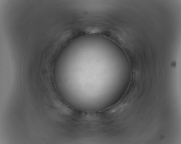 X0000092311393200709281337