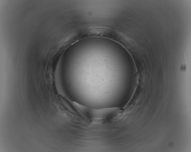 X0000092311394200709281337