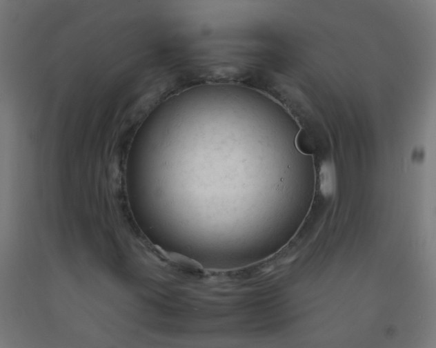 X0000092311395200709281337