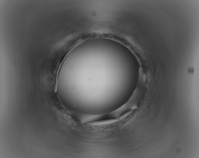 X0000092311398200709281337