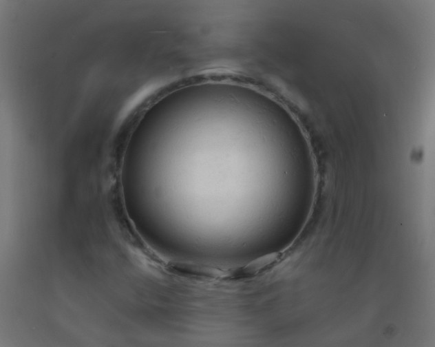 X0000092311400200709281337