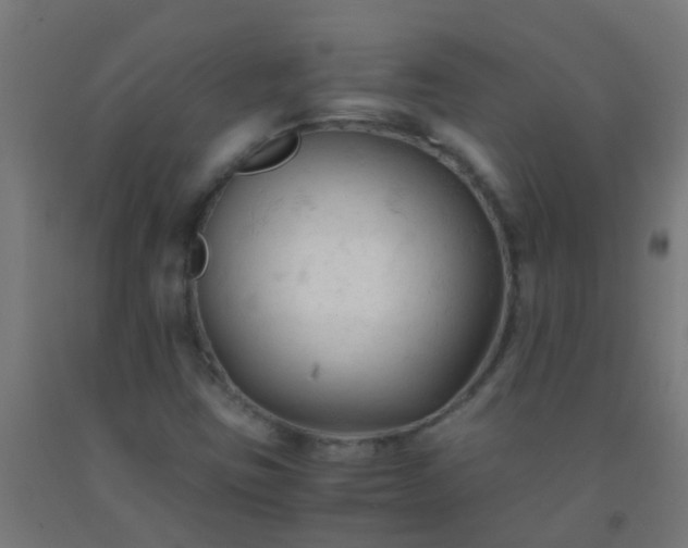 X0000092311403200709281337