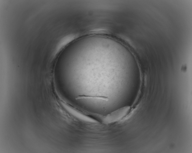 X0000092311405200709281337