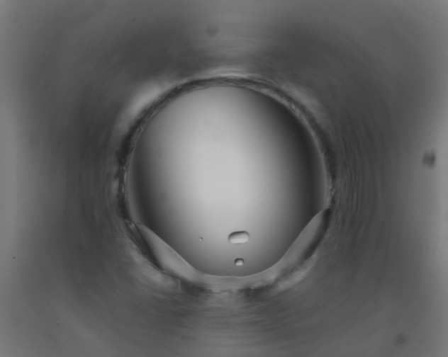 X0000092311406200709281337