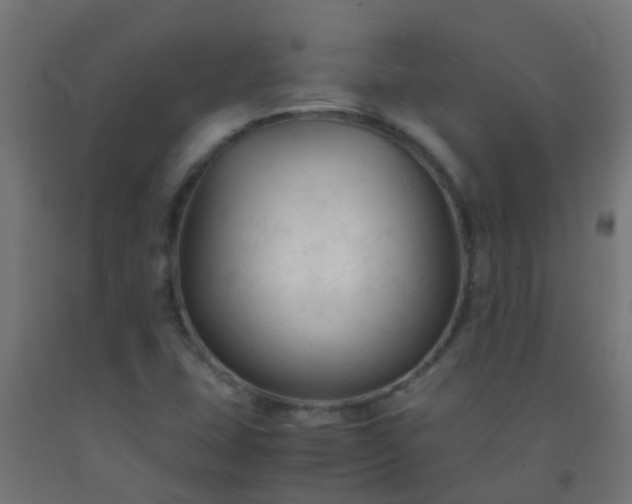 X0000092311407200709281337