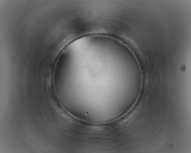 X0000092311409200709281337
