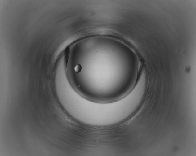 X0000092311410200709281337