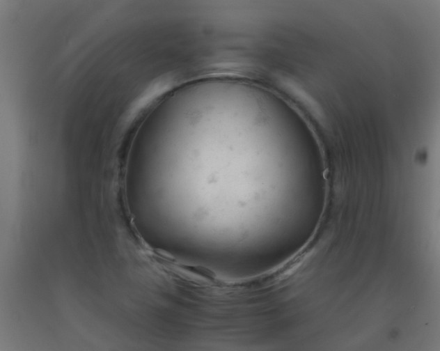 X0000092311411200709281337