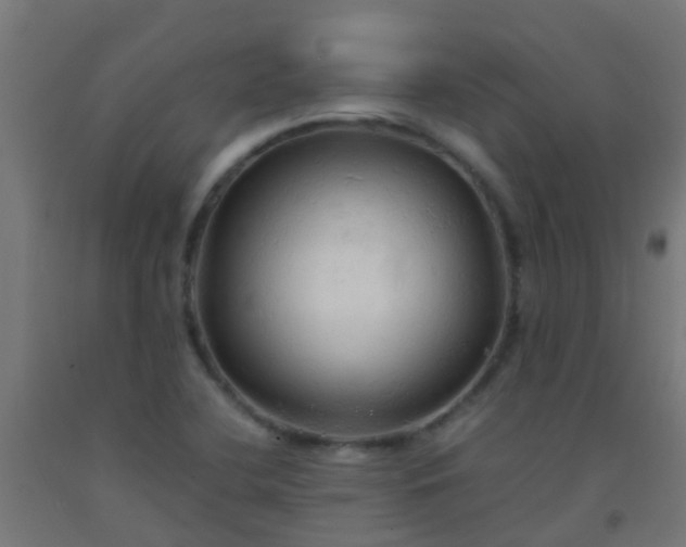 X0000092311412200709281337