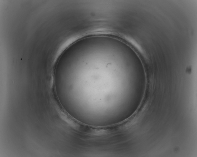 X0000092311413200709281337