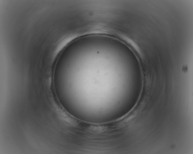 X0000092311415200709281337