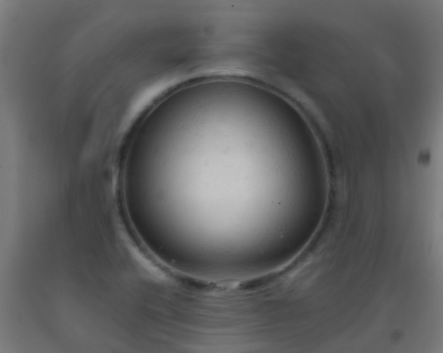 X0000092311416200709281337