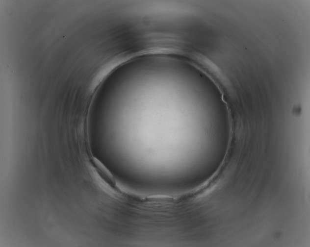 X0000092311417200709281337