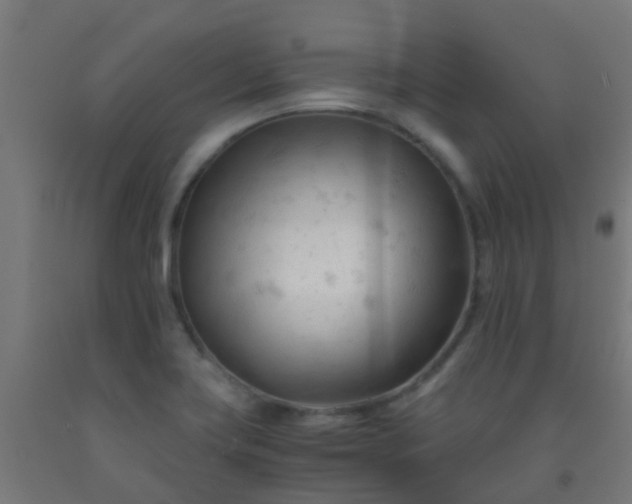 X0000092311419200709281337