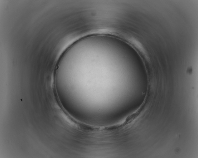 X0000092311420200709281337