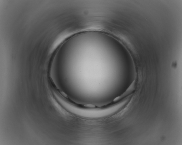 X0000092311422200709281337