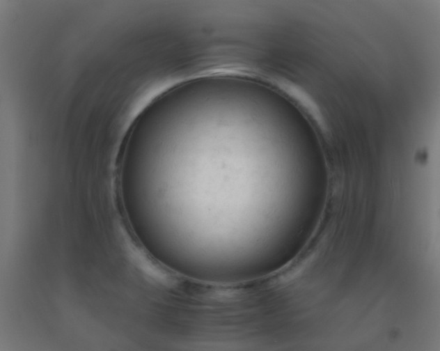 X0000092311423200709281337