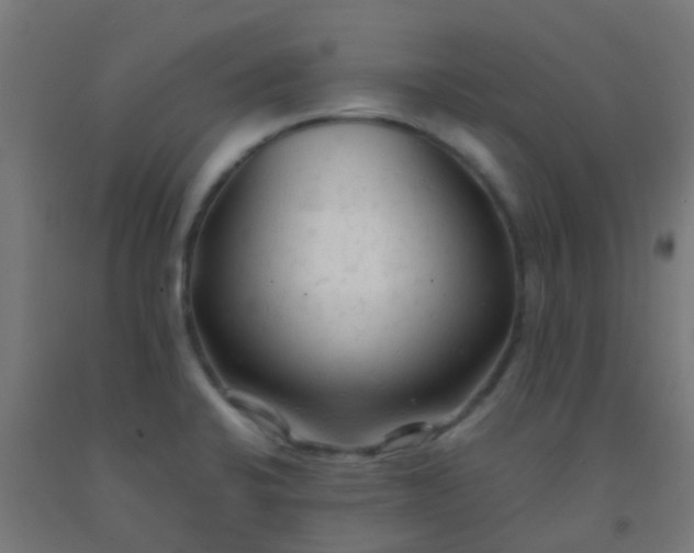 X0000092311424200709281337