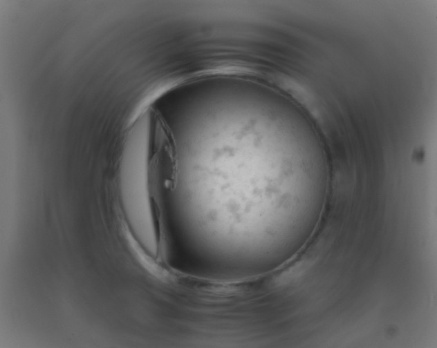 X0000092311425200709281337