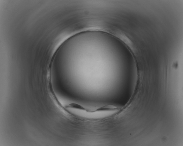 X0000092311428200709281337
