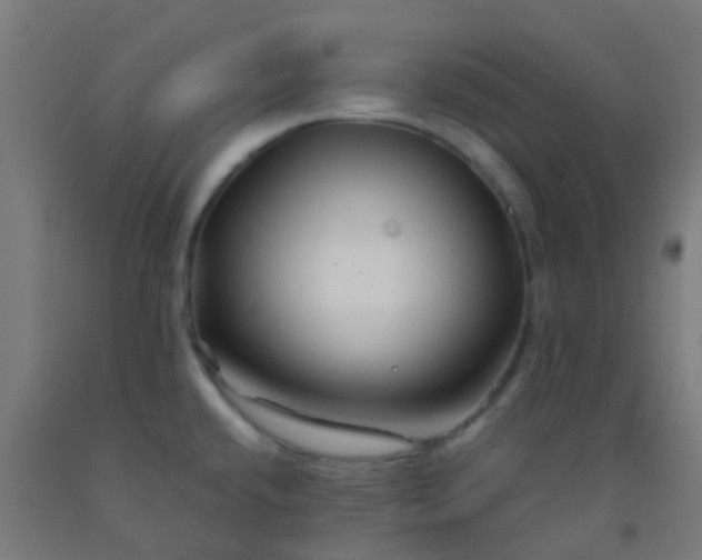 X0000092311432200709281337