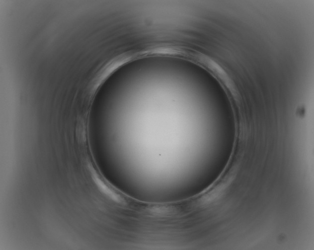 X0000092311433200709281337