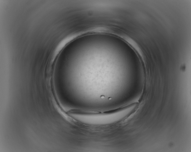 X0000092311437200709281338