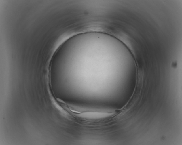 X0000092311439200709281338