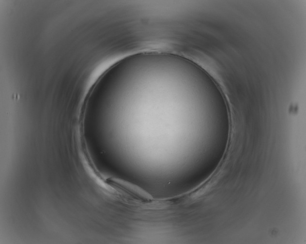 X0000092311440200709281338
