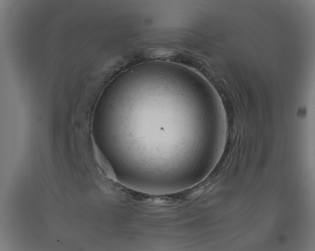 X0000092311441200709281337