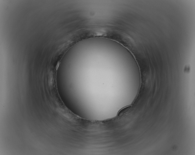 X0000092311442200709281337