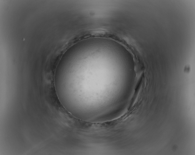 X0000092311445200709281337