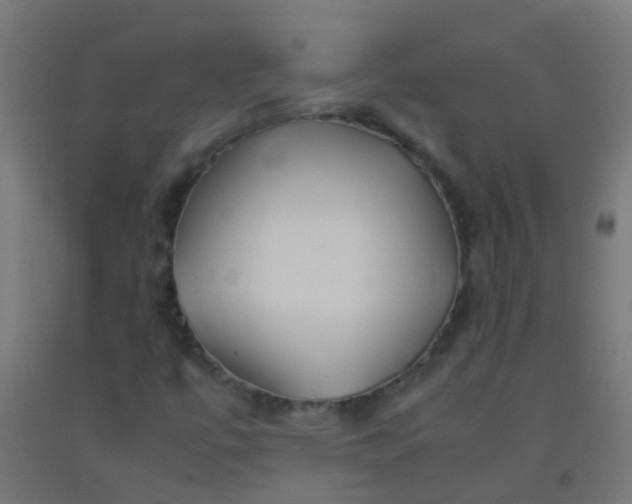 X0000092311447200709281337