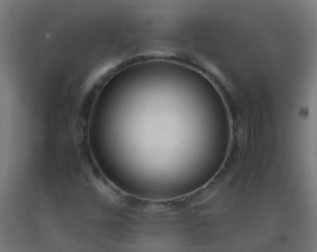 X0000092311448200709281337